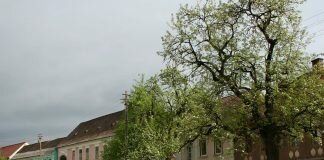 Ansamblul rural – Dorolea