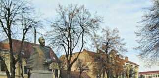 Statuie Alexandru Ioan Cuza – Bistrita