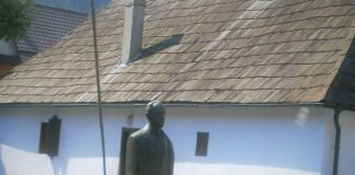 Statuie George Cosbuc – Cosbuc
