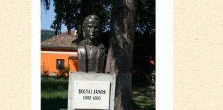 Statuie Bolyai Janos – Nuseni